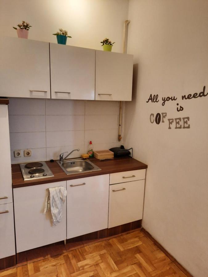 Studio Apartment Ζάγκρεμπ Εξωτερικό φωτογραφία